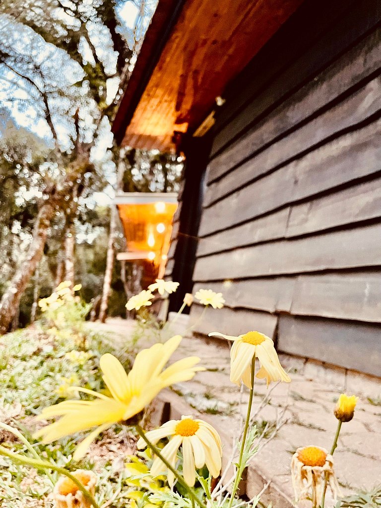 Cabana em Campos do Jordão CA2