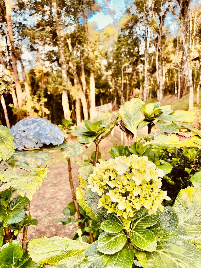 Cabana em Campos do Jordão CA7