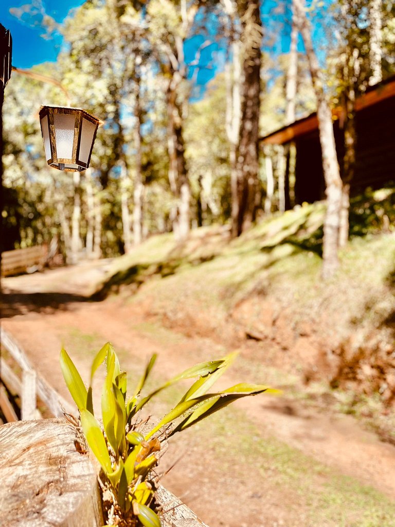 Cabana em Campos do Jordão CA7
