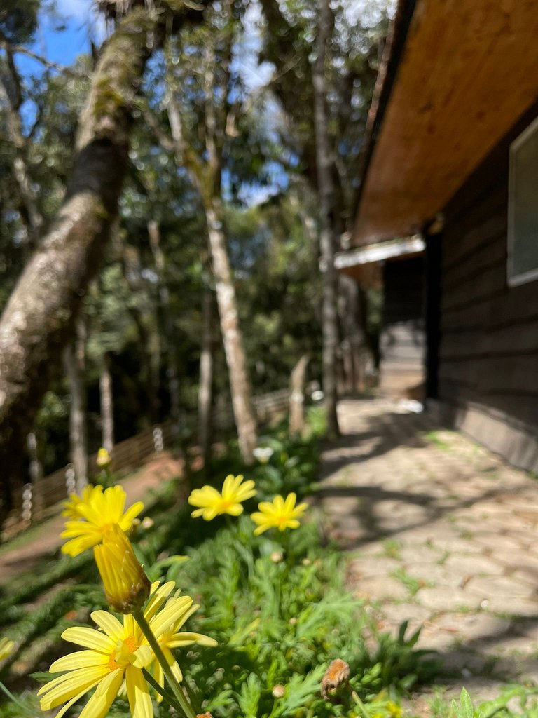 Cabana em Campos do Jordão CA2