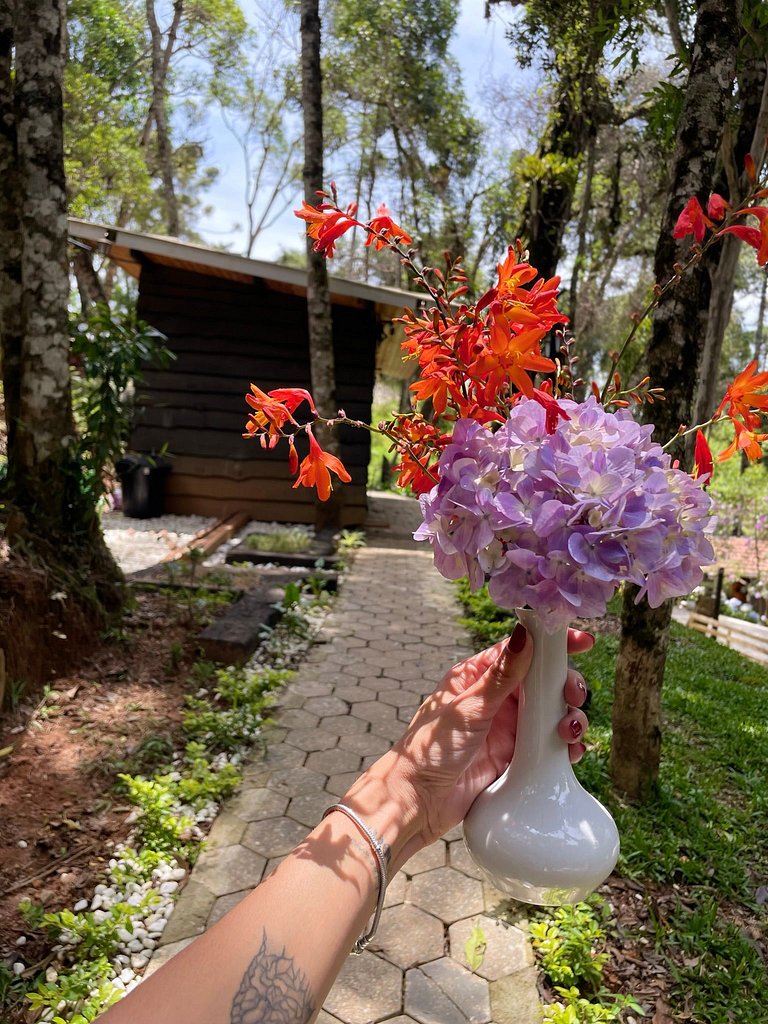 Cabana em Campos do Jordão CA7
