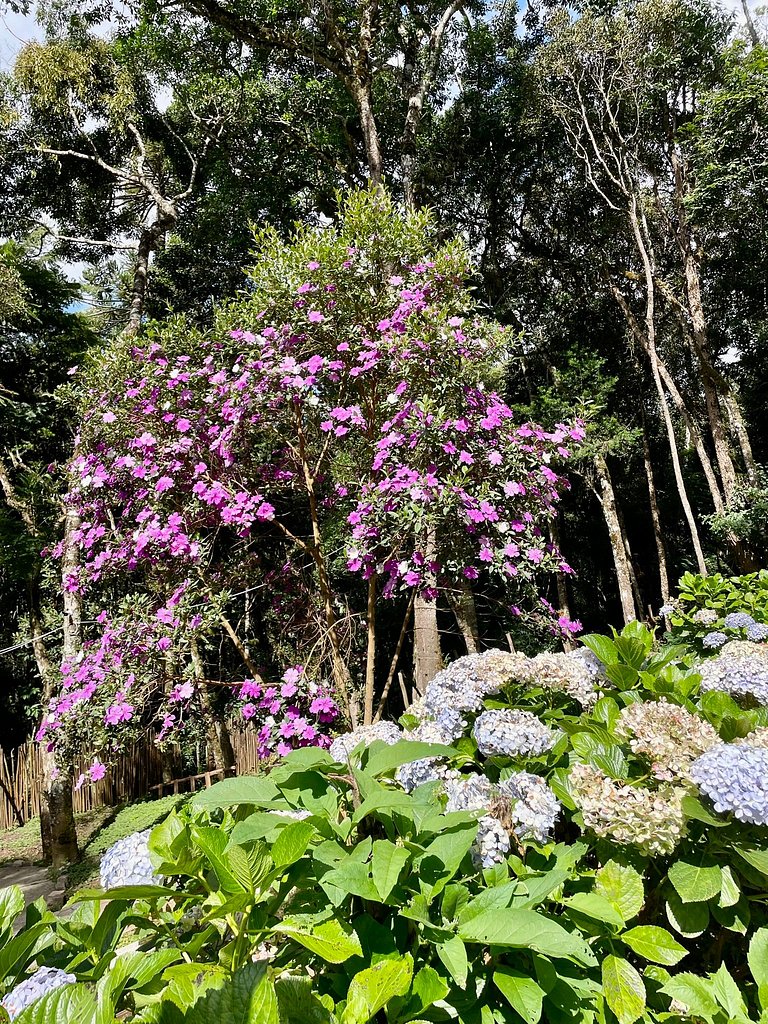 Cabana em Campos do Jordão CA7